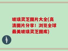玻璃灵芝图片大全(高清图片分享！浏览全球最美玻璃灵芝图库)