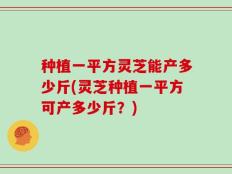 种植一平方灵芝能产多少斤(灵芝种植一平方可产多少斤？)