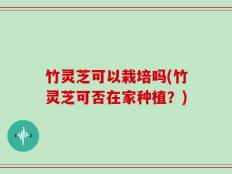 竹灵芝可以栽培吗(竹灵芝可否在家种植？)