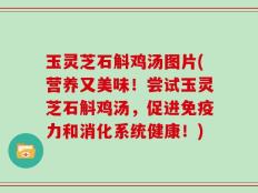 玉灵芝石斛鸡汤图片(营养又美味！尝试玉灵芝石斛鸡汤，促进免疫力和消化系统健康！)