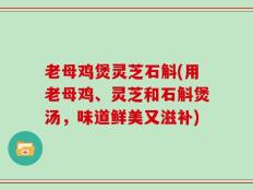 老母鸡煲灵芝石斛(用老母鸡、灵芝和石斛煲汤，味道鲜美又滋补)