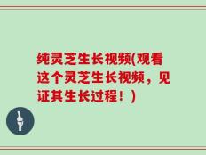 纯灵芝生长视频(观看这个灵芝生长视频，见证其生长过程！)