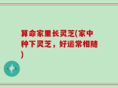 算命家里长灵芝(家中种下灵芝，好运常相随)