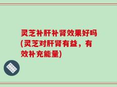 灵芝补肝补肾效果好吗(灵芝对肝肾有益，有效补充能量)