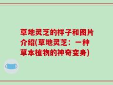 草地灵芝的样子和图片介绍(草地灵芝：一种草本植物的神奇变身)