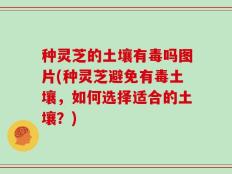 种灵芝的土壤有毒吗图片(种灵芝避免有毒土壤，如何选择适合的土壤？)
