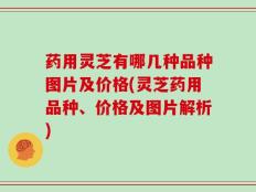 药用灵芝有哪几种品种图片及价格(灵芝药用品种、价格及图片解析)