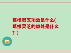 葛根灵芝功效是什么(葛根灵芝的益处是什么？)