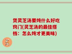 煲灵芝汤要炖什么好吃窍门(灵芝汤的最佳搭档：怎么炖才更美味)