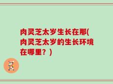 肉灵芝太岁生长在那(肉灵芝太岁的生长环境在哪里？)