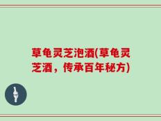 草龟灵芝泡酒(草龟灵芝酒，传承百年秘方)
