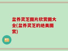 盆养灵芝图片欣赏图大全(盆养灵芝的绝美图赏)
