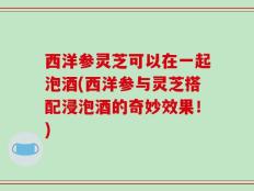 西洋参灵芝可以在一起泡酒(西洋参与灵芝搭配浸泡酒的奇妙效果！)