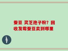 蚕豆 灵芝孢子粉？回收发霉蚕豆卖到哪里