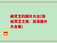 藏灵芝的图片大全(探秘灵芝之美：高清图片大合集)