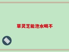 草灵芝能泡水喝不