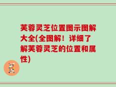 芙蓉灵芝位置图示图解大全(全图解！详细了解芙蓉灵芝的位置和属性)