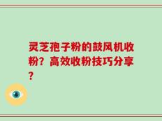 灵芝孢子粉的鼓风机收粉？高效收粉技巧分享？