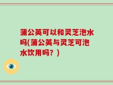 蒲公英可以和灵芝泡水吗(蒲公英与灵芝可泡水饮用吗？)