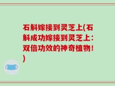 石斛嫁接到灵芝上(石斛成功嫁接到灵芝上：双倍功效的神奇植物！)