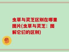 虫草与灵芝区别在哪里图片(虫草与灵芝：图解它们的区别)