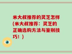 米大叔推荐的灵芝怎样(米大叔推荐：灵芝的正确选购方法与鉴别技巧！)