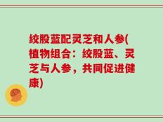 绞股蓝配灵芝和人参(植物组合：绞股蓝、灵芝与人参，共同促进健康)