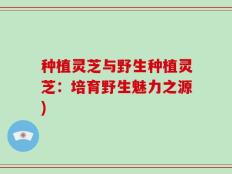 种植灵芝与野生种植灵芝：培育野生魅力之源)