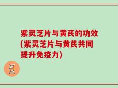 紫灵芝片与黄芪的功效(紫灵芝片与黄芪共同提升免疫力)