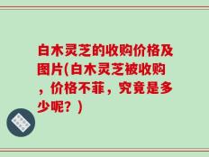 白木灵芝的收购价格及图片(白木灵芝被收购，价格不菲，究竟是多少呢？)