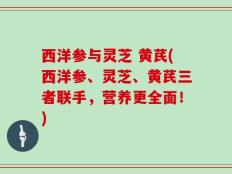 西洋参与灵芝 黄芪(西洋参、灵芝、黄芪三者联手，营养更全面！)