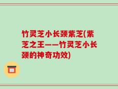 竹灵芝小长颈紫芝(紫芝之王——竹灵芝小长颈的神奇功效)