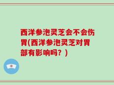 西洋参泡灵芝会不会伤胃(西洋参泡灵芝对胃部有影响吗？)