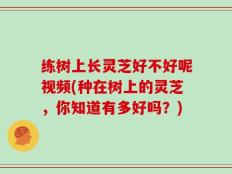 练树上长灵芝好不好呢视频(种在树上的灵芝，你知道有多好吗？)