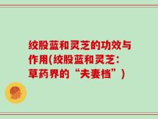 绞股蓝和灵芝的功效与作用(绞股蓝和灵芝：草药界的“夫妻档”)