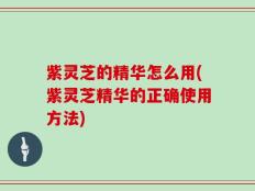 紫灵芝的精华怎么用(紫灵芝精华的正确使用方法)