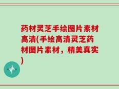 药材灵芝手绘图片素材高清(手绘高清灵芝药材图片素材，精美真实)