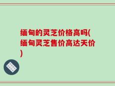 缅甸的灵芝价格高吗(缅甸灵芝售价高达天价)