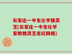石家庄一中东化学魏灵芝(石家庄一中东化学家教魏灵芝走红网络)