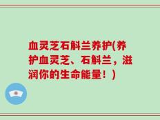 血灵芝石斛兰养护(养护血灵芝、石斛兰，滋润你的生命能量！)