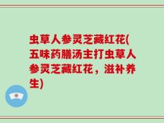 虫草人参灵芝藏红花(五味药膳汤主打虫草人参灵芝藏红花，滋补养生)
