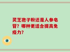 灵芝孢子粉还是人参皂苷？哪种更适合提高免疫力？