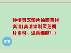 种植灵芝图片绘画素材高清(高清绘制灵芝图片素材，逼真细腻！)