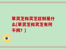草灵芝和灵芝区别是什么(草灵芝和灵芝有何不同？)