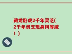 藏龙卧虎2千年灵芝(2千年灵芝现身何等威！)