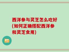 西洋参与灵芝怎么吃好(如何正确搭配西洋参和灵芝食用)
