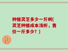种植灵芝多少一斤啊(灵芝种植成本浅析，售价一斤多少？)