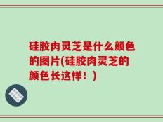 硅胶肉灵芝是什么颜色的图片(硅胶肉灵芝的颜色长这样！)
