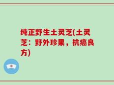 纯正野生土灵芝(土灵芝：野外珍果，抗癌良方)