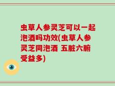 虫草人参灵芝可以一起泡酒吗功效(虫草人参灵芝同泡酒 五脏六腑受益多)
